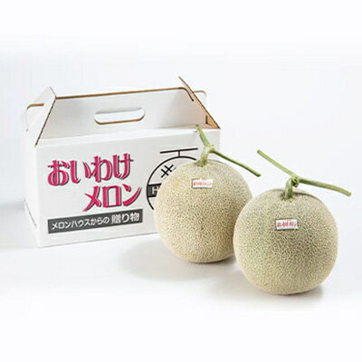 【ふるさと納税】【2026年発送】おいわけメロンパック 糖度16度以上 2.0kg以上×2玉(数量限定)【1102220】 サムネイル3