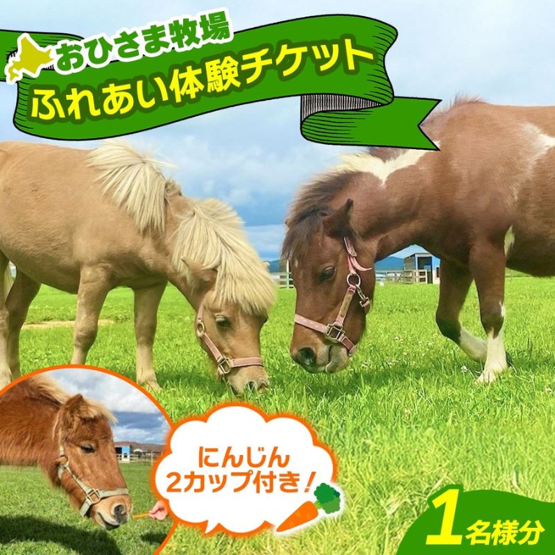 おひさま牧場 ふれあい体験チケット 1名分 にんじん2カップ付き ふれあい チケット ふれあい体験 体験 ミニチュアホース ホース 馬 ふれあい牧場 牧場 体験券 券 ふれあいチケット 動物 北海道 日高町