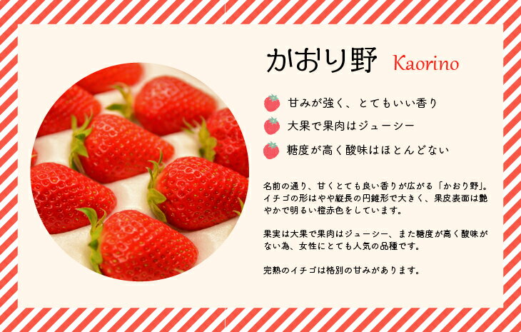 【ふるさと納税】【先行受付開始！】北海道浦河産いちご「かおり野」230g×3P[13-113] 北海道 浦河 ふるさと納税 いちご かおり野 果物 3P 送料無料 サムネイル2