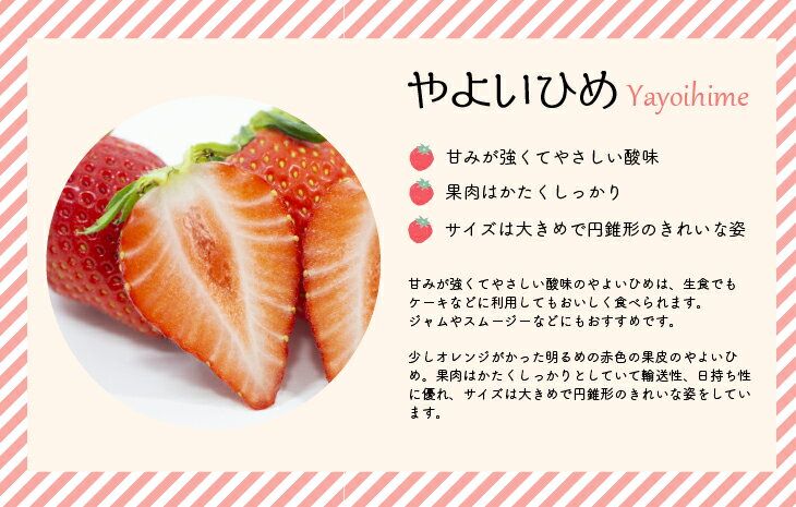 【ふるさと納税】【先行受付開始！】北海道浦河産いちご「やよいひめ」230g×3P[13-883] 北海道 浦河 ふるさと納税 いちご 苺 やよいひめ 送料無料 サムネイル2