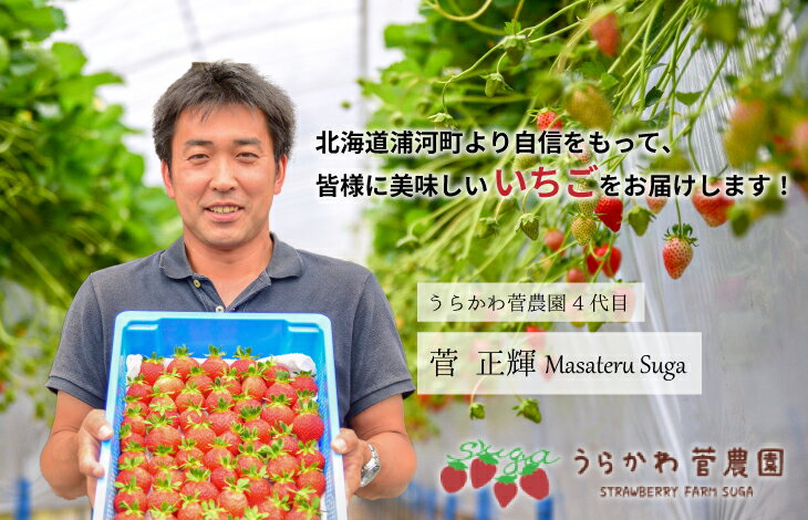 【ふるさと納税】【先行受付開始！】北海道浦河産いちご「かおり野」230g×3P[13-113] 北海道 浦河 ふるさと納税 いちご かおり野 果物 3P 送料無料 サムネイル3
