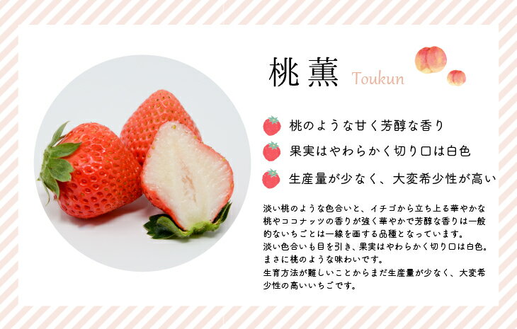 【ふるさと納税】【先行受付開始！】北海道浦河産いちご「桃薫」270g×1P[13-279] 北海道 浦河 ふるさと納税 いちご 苺 桃薫 モモ 希少 送料無料 サムネイル2