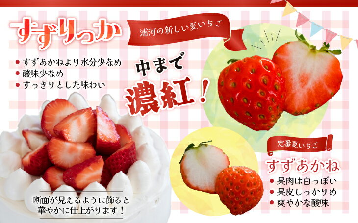 【ふるさと納税】【先行受付開始！】北海道浦河産 夏いちご 「すずりっか」230g×3P[13-1334] 北海道 浦河 ふるさと納税 いちご 苺 すずりっか 送料無料 サムネイル2