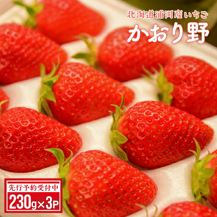 【先行受付開始！】北海道浦河産いちご「かおり野」230g×3P[13-113] 北海道 浦河 ふるさと納税 いちご かおり野 果物 3P 送料無料