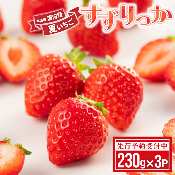 【先行受付開始！】北海道浦河産 夏いちご 「すずりっか」230g×3P[13-1334] 北海道 浦河 ふるさと納税 いちご 苺 すずりっか 送料無料
