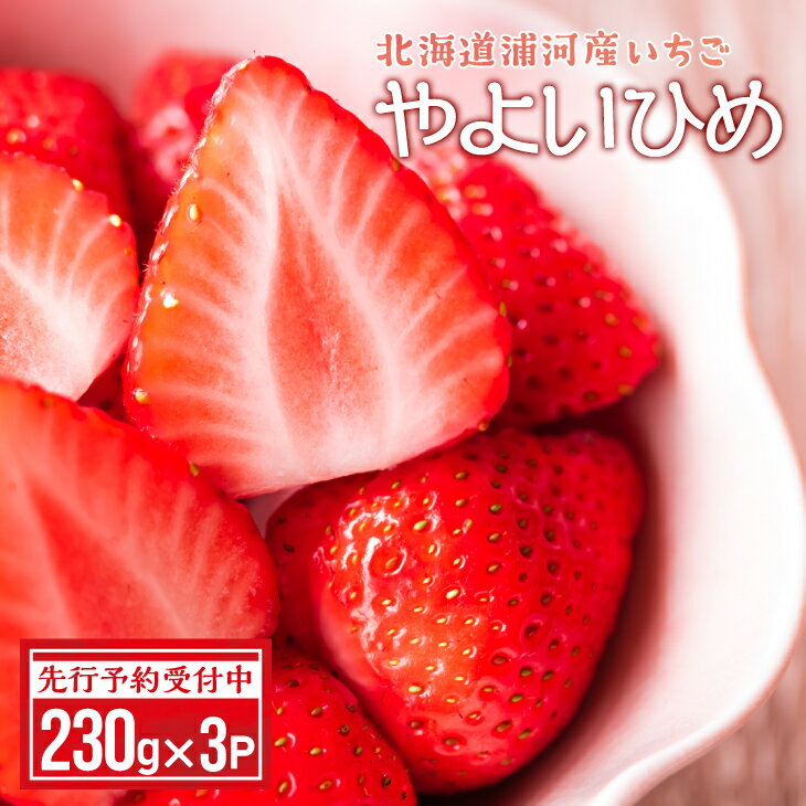 【先行受付開始！】北海道浦河産いちご「やよいひめ」230g×3P[13-883] 北海道 浦河 ふるさと納税 いちご 苺 やよいひめ 送料無料