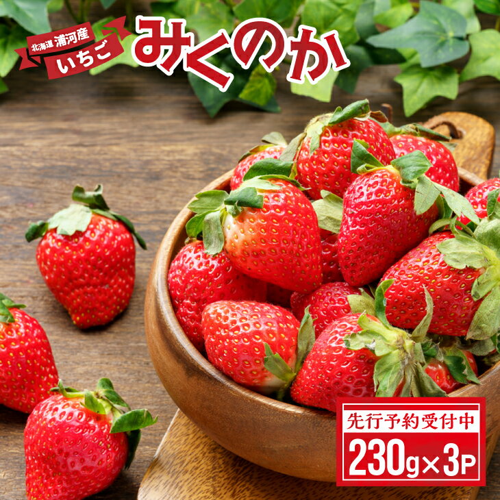 【先行受付開始！】北海道浦河産いちご「みくのか」230g×3P[13-1430] 北海道 浦河 ふるさと納税 いちご みくのか 果物 3P 送料無料