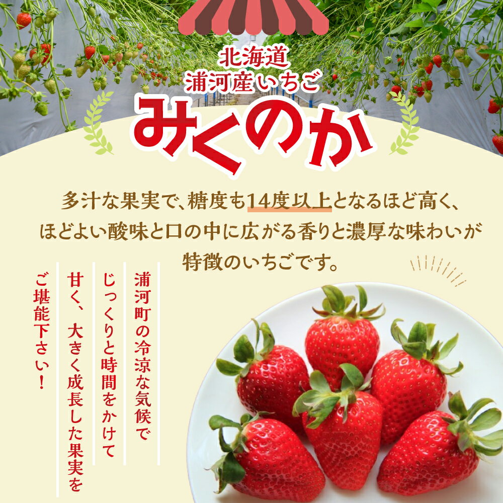 【ふるさと納税】【先行受付開始！】北海道浦河産いちご「みくのか」230g×3P[13-1430] 北海道 浦河 ふるさと納税 いちご みくのか 果物 3P 送料無料 サムネイル2