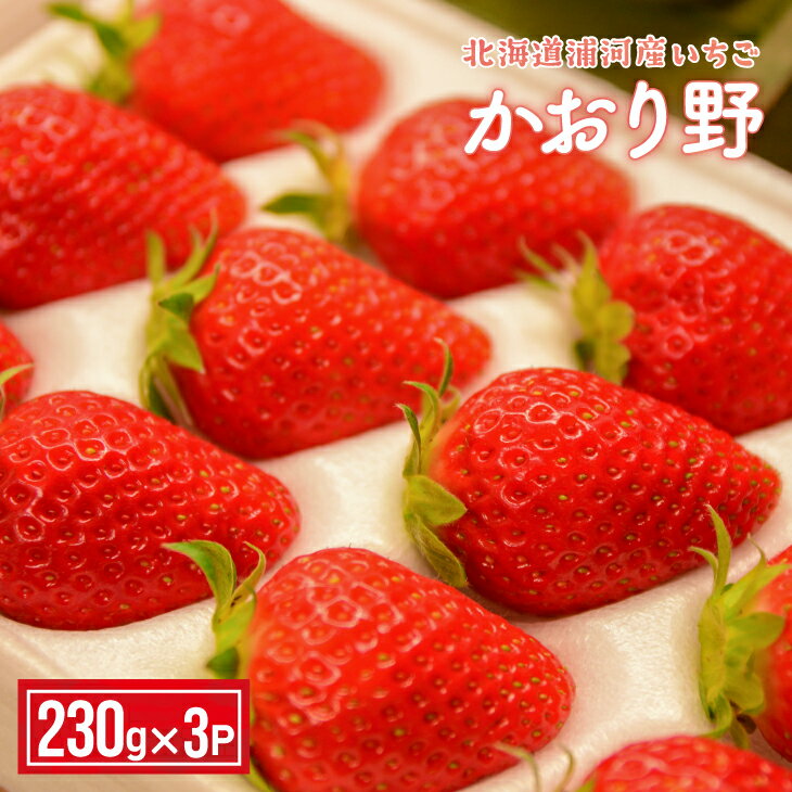 【今が旬！】北海道浦河産いちご「かおり野」230g×3P[13-113] 北海道 浦河 ふるさと納税 いちご かおり野 果物 3P 送料無料