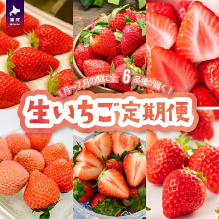 【来年1月より発送！】全6品種が届く！生いちご定期便(全6回)[13-1130] 北海道 浦河 ふるさと納税 いちご 旬 定期便 送料無料