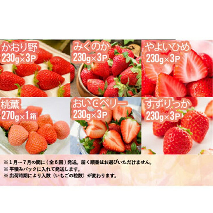 【ふるさと納税】【来年1月より発送！】全6品種が届く！生いちご定期便(全6回)[13-1130] 北海道 浦河 ふるさと納税 いちご 旬 定期便 送料無料 サムネイル2