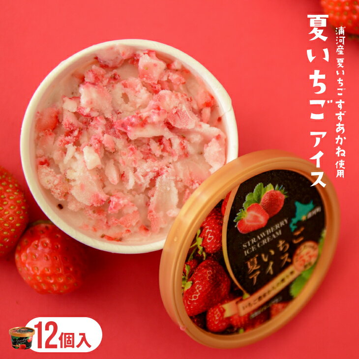 果肉55%「夏いちごアイス(12個)」[22-237] 北海道 浦河 ふるさと納税 いちご すずあかね 果肉55％ アイスクリーム 送料無料