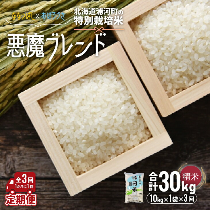 北海道浦河町の特別栽培米「悪魔ブレンド」精米(10kg×1袋)定期便(全3回)[37-1222] 北海道 浦河 ふるさと納税 特別栽培米 ななつぼし おぼろづき ブレンド米 令和7年度 米 精米 定期便 全3回 送料無料