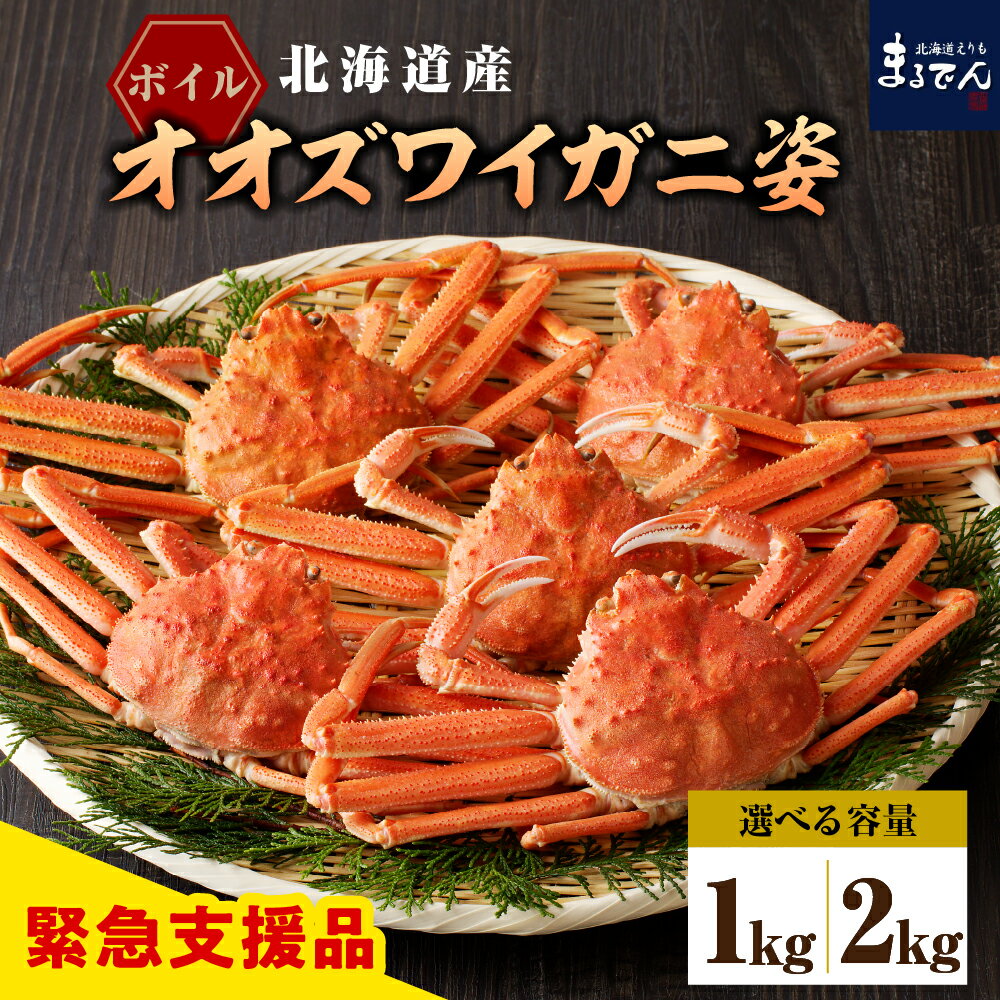 ボイル オオズワイガニ 姿 (選べる：1kg / 2kg )/ おおずわいがに おおずわい蟹 ズワイガニ ずわいがに ずわい蟹 ズワイ 蟹 カニ かに かに鍋 かにしゃぶ ボイル済み 茹で 魚介類 魚介 海鮮 海の幸 海産物 水産加工品 国産 北海道産 北海道 えりも町