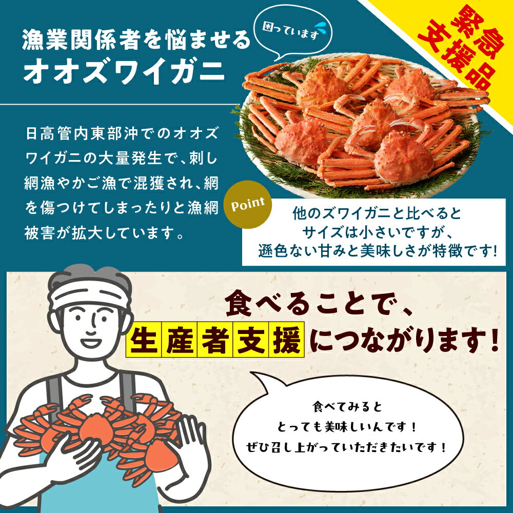 【ふるさと納税】 生 オオズワイガニ 脚 ( 選べる 1kg / 2kg )/ おおずわいがに おおずわい蟹 大ズワイガニ 大ずわいがに 大ズワイ蟹 蟹 カニ かに かに爪 ずわい蟹 かに鍋 かにしゃぶ 冷凍 冷凍便 魚介 魚介類 海鮮 海の幸 海産物 北海道産 国産 北海道 えりも町 サムネイル3