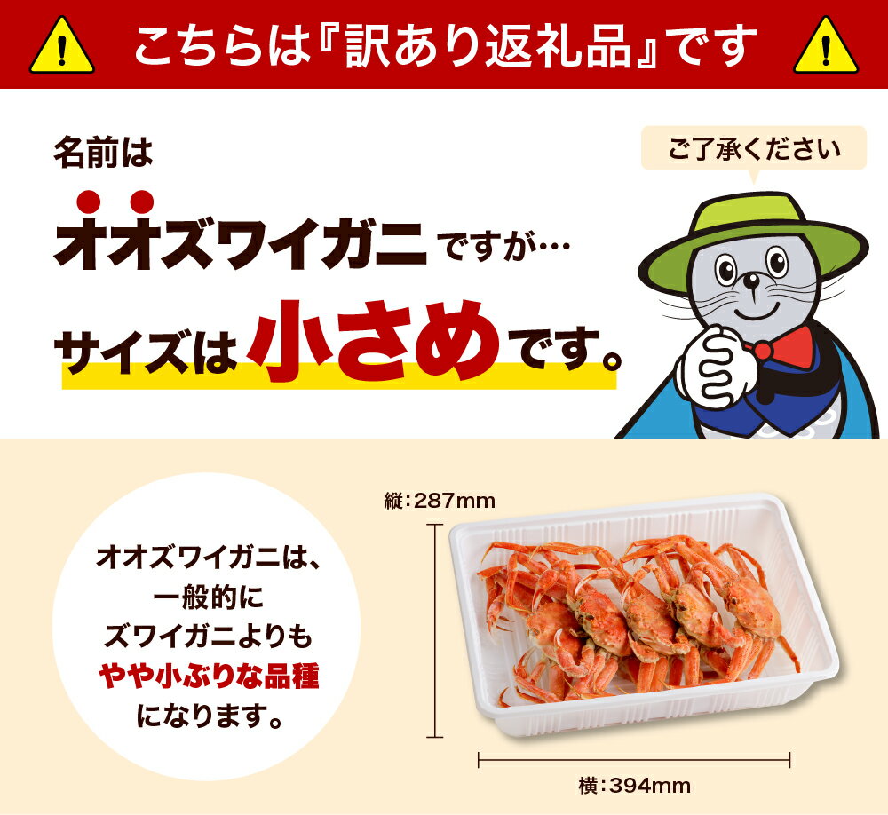 【ふるさと納税】訳あり ボイル オオズワイガニ 姿 ( 選べる : 1kg / 2kg )/ おおずわいがに ズワイガニ 蟹 カニ かに かに鍋 かにしゃぶ ボイル済み 茹で 魚介類 魚介 海鮮 海産物 水産加工品 国産 北海道産 北海道 えりも町 - 画像2