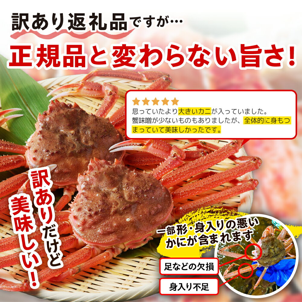 【ふるさと納税】高評価 訳あり 北海道産 活 オオズワイガニ 姿 2kg 冷蔵 / 大ズワイ 大ズワイガニ ズワイガニ ズワイ 蟹 かに カニ味噌 訳アリ 不揃い 規格外 魚介類 魚介 海鮮 海の幸 海産物 大容量 一杯 生 新鮮 国産 北海道 えりも町 - 画像3