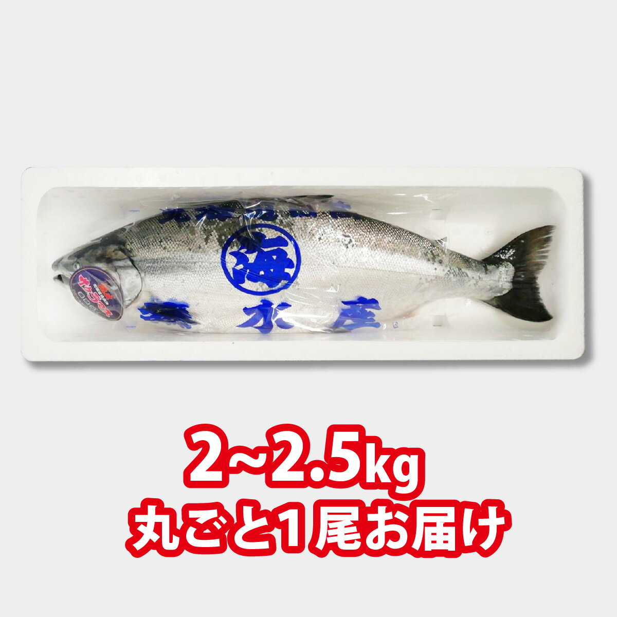 【ふるさと納税】 ＜ 2026年5月から順次発送 ＞ 北海道 天然 サクラマス 2〜2.5kg まるごと 1尾 ふるさと納税 サクラ鱒 マス 旬 新鮮 魚 魚介 海鮮 冷蔵 焼魚 ムニエル フライ 刺身 燻製 活き〆 ふるさと納税 北海道 新ひだか町 ＜ 予約商品 ＞ サムネイル2