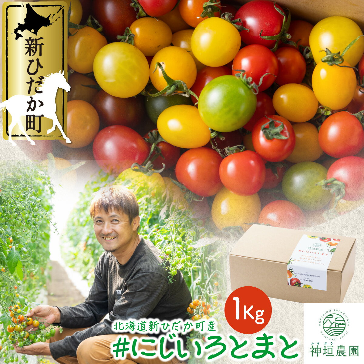 ＜ 2026年8月上旬より発送 ＞ 北海道産 カラフルトマト 1kg ミニトマト 冷蔵 カラフル とまと トマト ＃にじいろとまと 北海道 新ひだか町 ＜ 予約受付 ＞