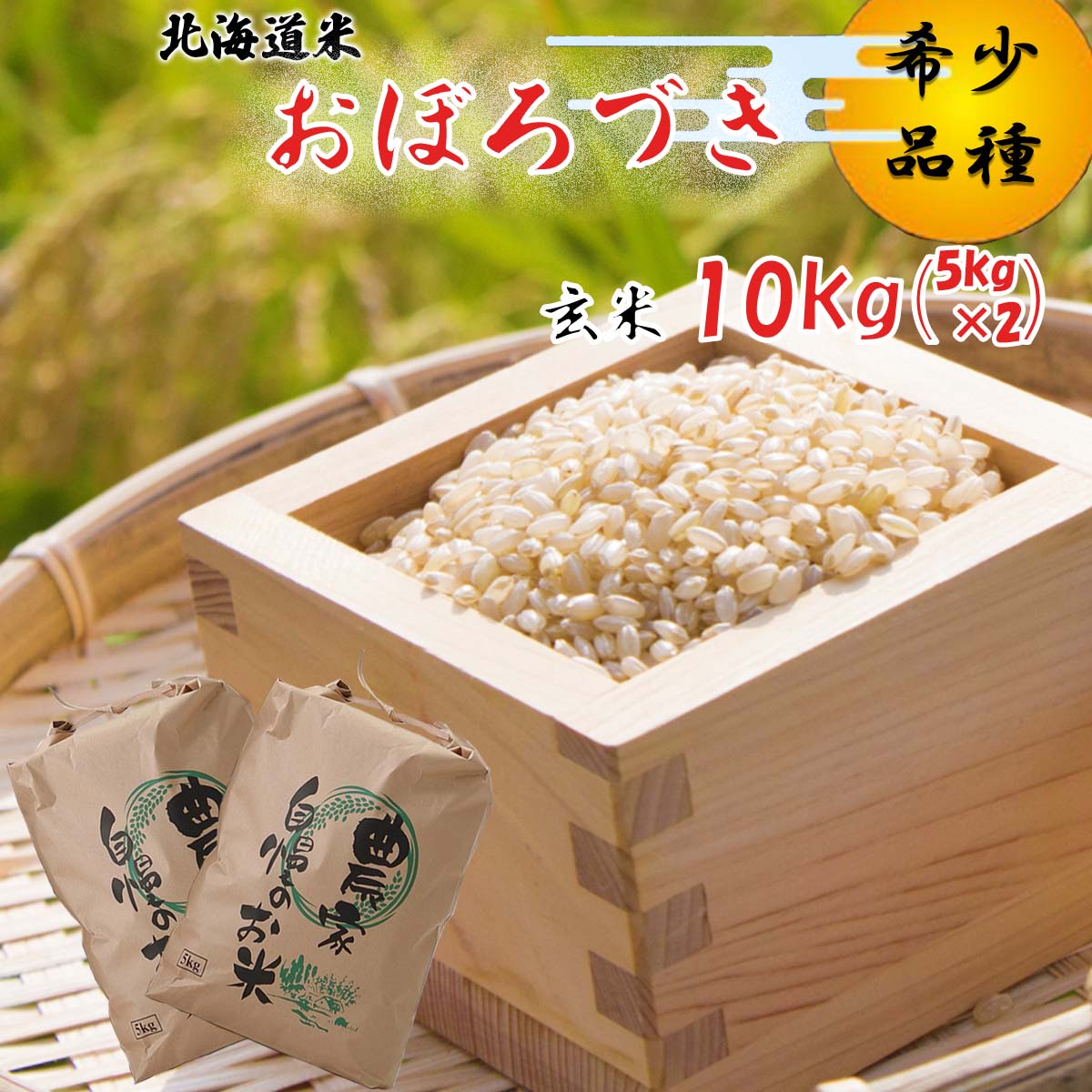 令和7年度産 北海道米 おぼろづき 玄米 10kg (5kg×2) 希少米 米 お米 お弁当 おにぎり 常温 北海道 新ひだか町