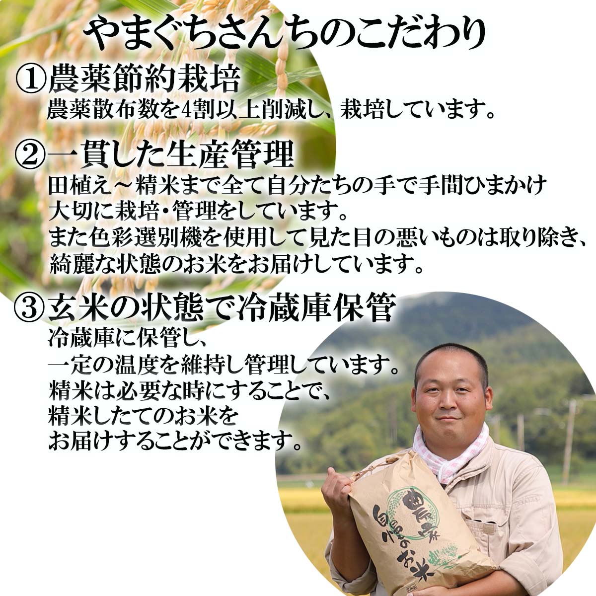 【ふるさと納税】 令和7年度産 北海道米 おぼろづき 玄米 10kg (5kg×2) 希少米 米 お米 お弁当 おにぎり 常温 北海道 新ひだか町 - 画像3