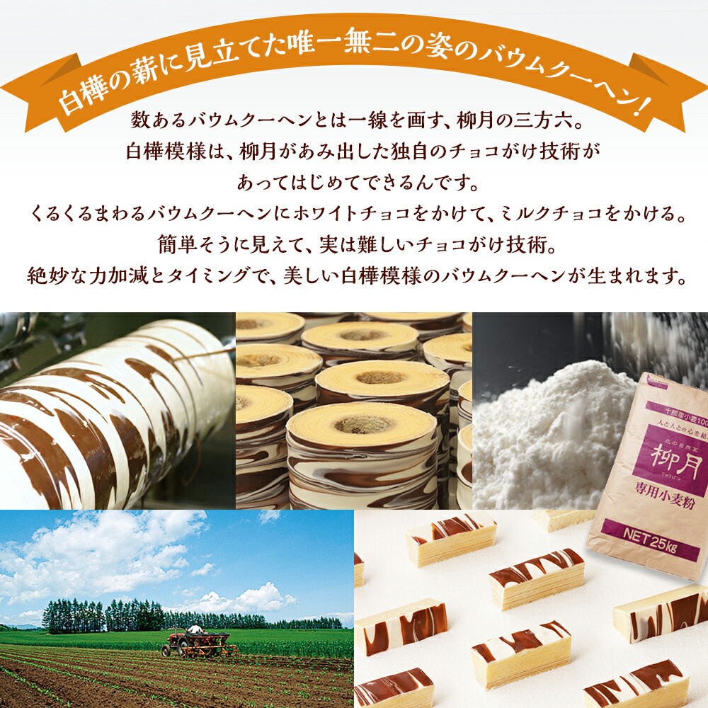 【ふるさと納税】「柳月」三方六の小割 ＜選べる容量＞ 5個入×2箱 合計10個 ／ 5個入×3箱 合計15個 ／ 10個入×2箱 合計20個 個包装 小分け お菓子 洋菓子 スイーツ ミルクチョコ ホワイトチョコ バウムクーヘン 取り寄せ 詰め合わせ - 画像3