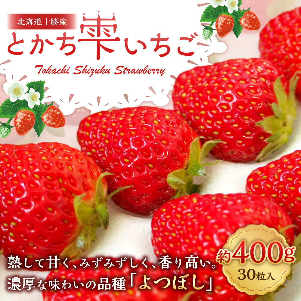 【ふるさと納税】【先行受付】十勝の青空と恵みの水で育った「とかち雫いちご」【A62】2025年11月上旬より順次発送予定 30粒 約400g いちご イチゴ 苺 フルーツ ベリー ストロベリー 果物 よつぼし 高級 数量限定 冷蔵 北海道 音更町 送料無料 サムネイル2