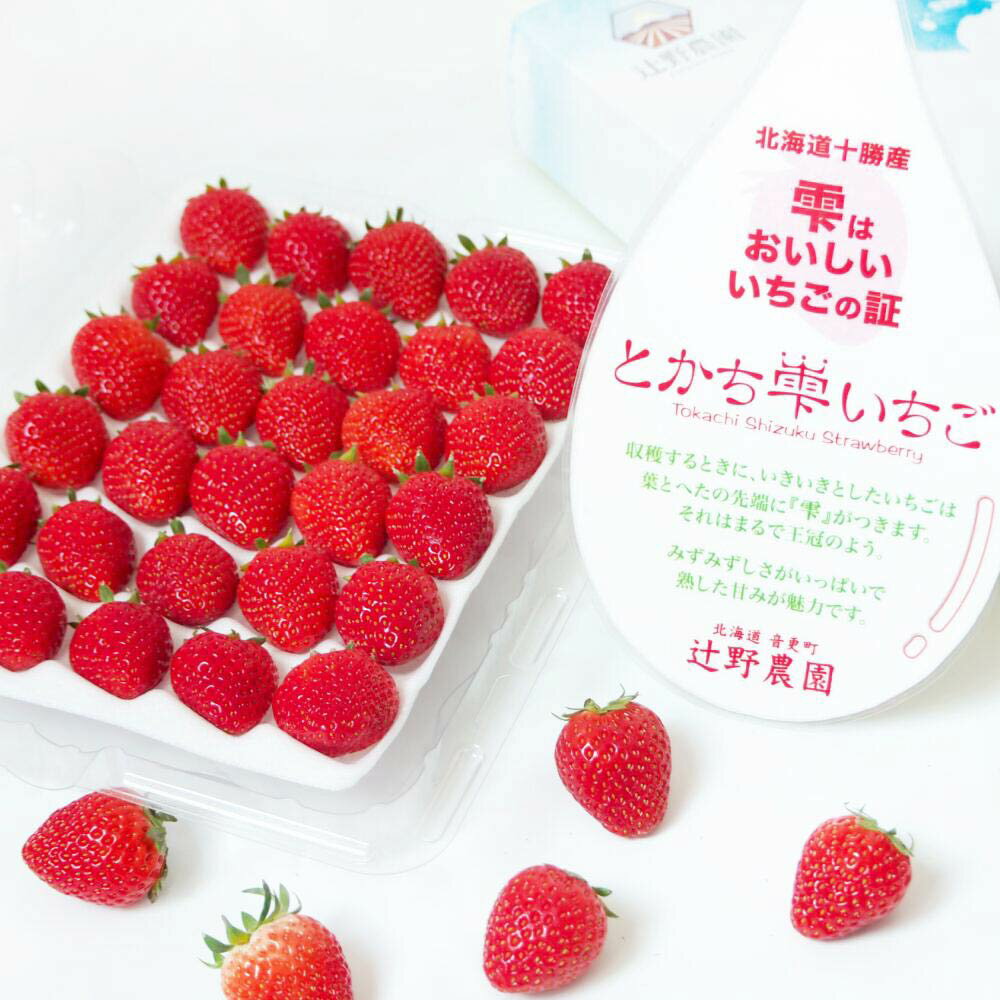 【ふるさと納税】【先行受付】十勝の青空と恵みの水で育った「とかち雫いちご」【A62】2025年11月上旬より順次発送予定 30粒 約400g いちご イチゴ 苺 フルーツ ベリー ストロベリー 果物 よつぼし 高級 数量限定 冷蔵 北海道 音更町 送料無料 サムネイル3