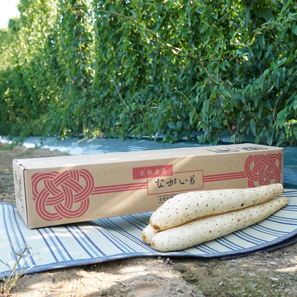 北海道十勝産ながいも 4本セット【B70】 約2.8kg 4本 Lサイズ 長いも 長芋 ながいも 芋 いも イモ お芋 おいも 根菜 やさい 野菜 十勝 北海道 音更町 送料無料