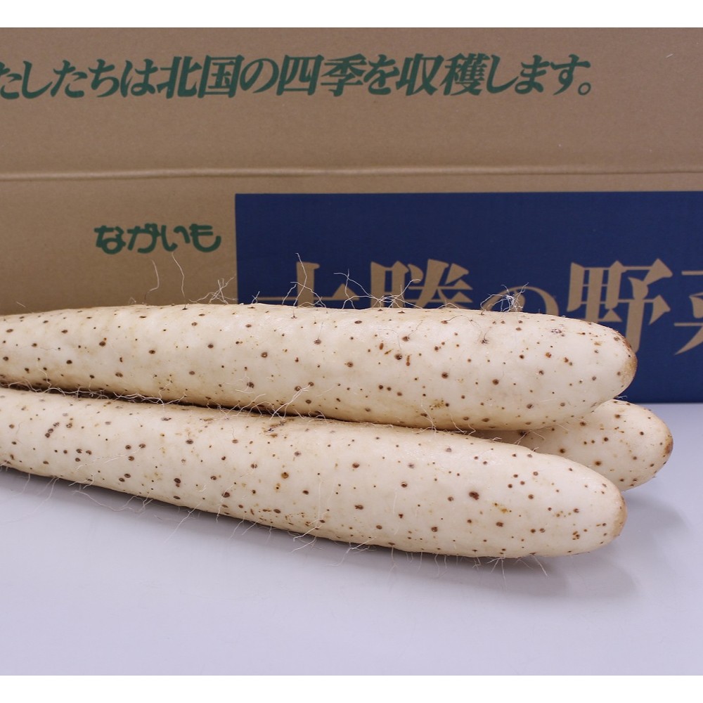 【ふるさと納税】北海道十勝産ながいも 4本セット【B70】 約2.8kg 4本 Lサイズ 長いも 長芋 ながいも 芋 いも イモ お芋 おいも 根菜 やさい 野菜 十勝 北海道 音更町 送料無料 - 画像3