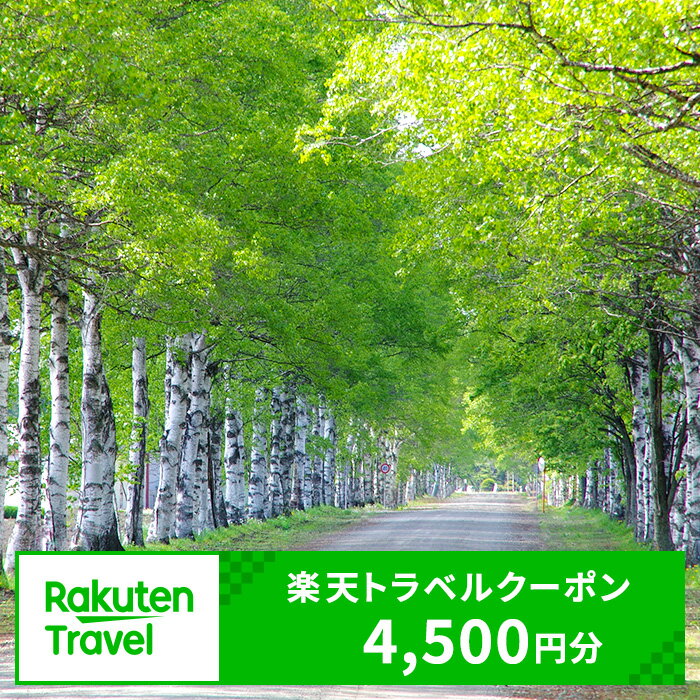 北海道音更町の対象施設で使える楽天トラベルクーポン 寄附額15,000円 旅行 観光 トラベル レジャー 体験 温泉 宿泊 ホテル 旅館 予約 国内 十勝温泉 モール温泉 チケット クーポン 宿泊券 宿泊補助券 金券 北海道 音更町 楽天スーパーSALE 9月開催