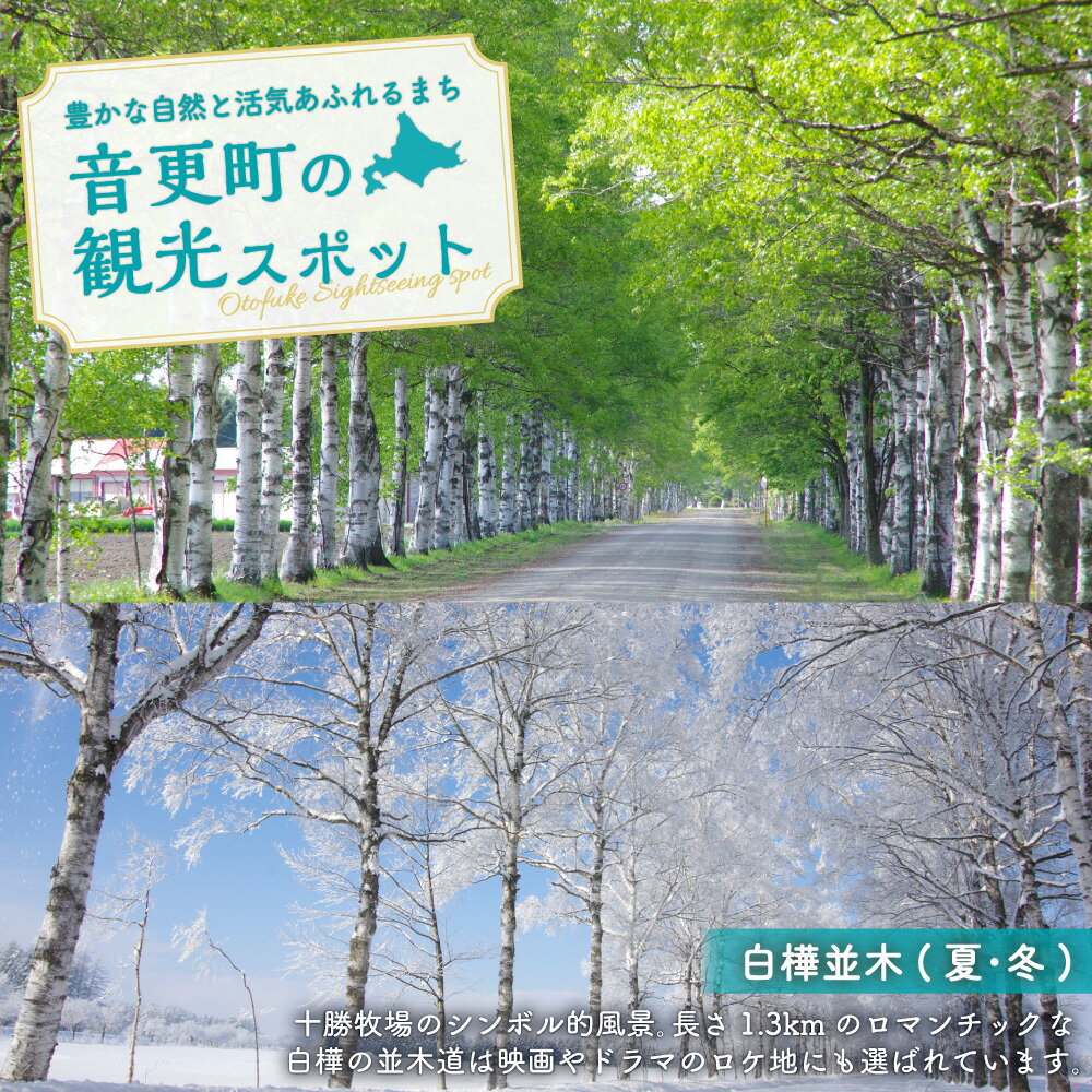 【ふるさと納税】北海道音更町の対象施設で使える楽天トラベルクーポン 寄附額10,000円 旅行 観光 トラベル レジャー 体験 温泉 宿泊 ホテル 旅館 予約 国内 十勝温泉 モール温泉 チケット クーポン 宿泊券 宿泊補助券 金券 北海道 音更町 楽天スーパーSALE 9月開催 サムネイル3