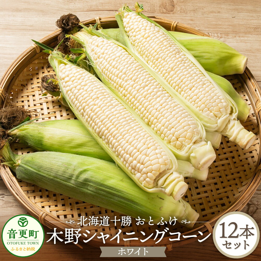 ［先行受付］北海道十勝産 木野シャイニングコーン12本セット【A15】2026年8月中旬頃より順次発送 とうもろこし トウモロコシ コーン シャイニングコーン 野菜 やさい 十勝 冷蔵 北海道 音更町 送料無料