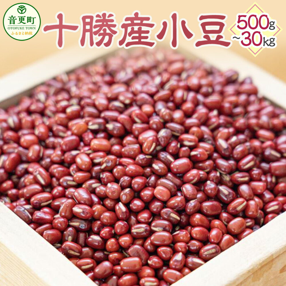 [先行受付] 令和7年産 「JAおとふけ」小豆 ＜選べる容量＞ 500g 1kg 2kg 5kg 10kg 30kg 4000円 ～ 65000円 4000円 ～ 6万5000円 小豆 あずき 豆 お豆 まめ 生豆 豆類 和菓子 料理 お取り寄せ 国産 十勝 常温 北海道 音更町 ＜2025年11月上旬より順次発送＞