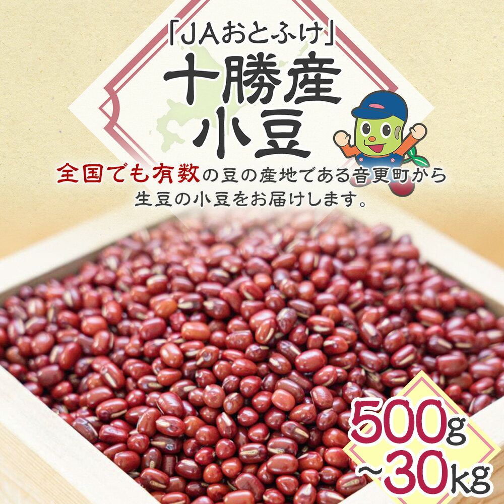【ふるさと納税】[先行受付] 令和7年産 「JAおとふけ」小豆 ＜選べる容量＞ 500g 1kg 2kg 5kg 10kg 30kg 4000円 ～ 65000円 4000円 ～ 6万5000円 小豆 あずき 豆 お豆 まめ 生豆 豆類 和菓子 料理 お取り寄せ 国産 十勝 常温 北海道 音更町 ＜2025年11月上旬より順次発送＞ サムネイル2
