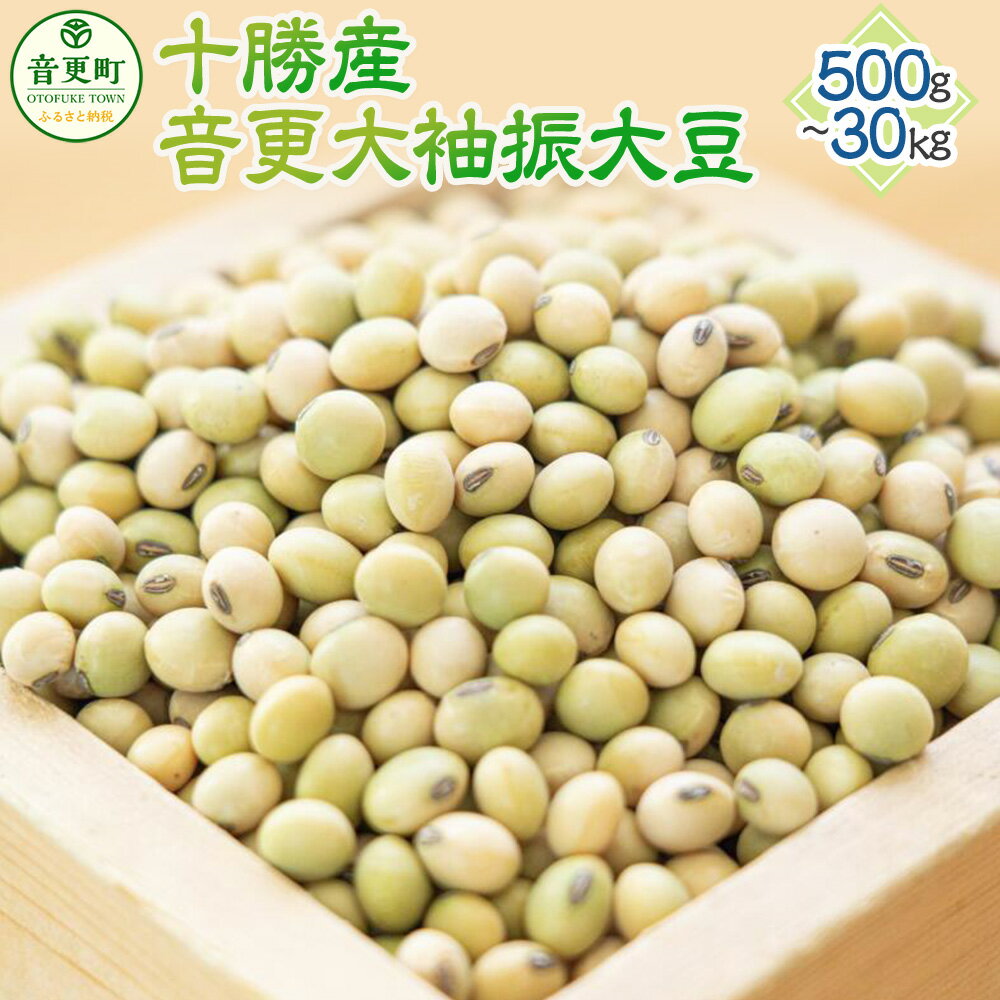 令和6年産「JAおとふけ」 音更大袖振大豆 ＜選べる容量＞ 500g 1kg 2kg 6kg 10kg 30kg 大豆 生豆 豆 だいず お豆 まめ 豆類 イソフラボン おやつ おつまみ お取り寄せ 十勝 常温 国産 北海道 音更町 送料無料