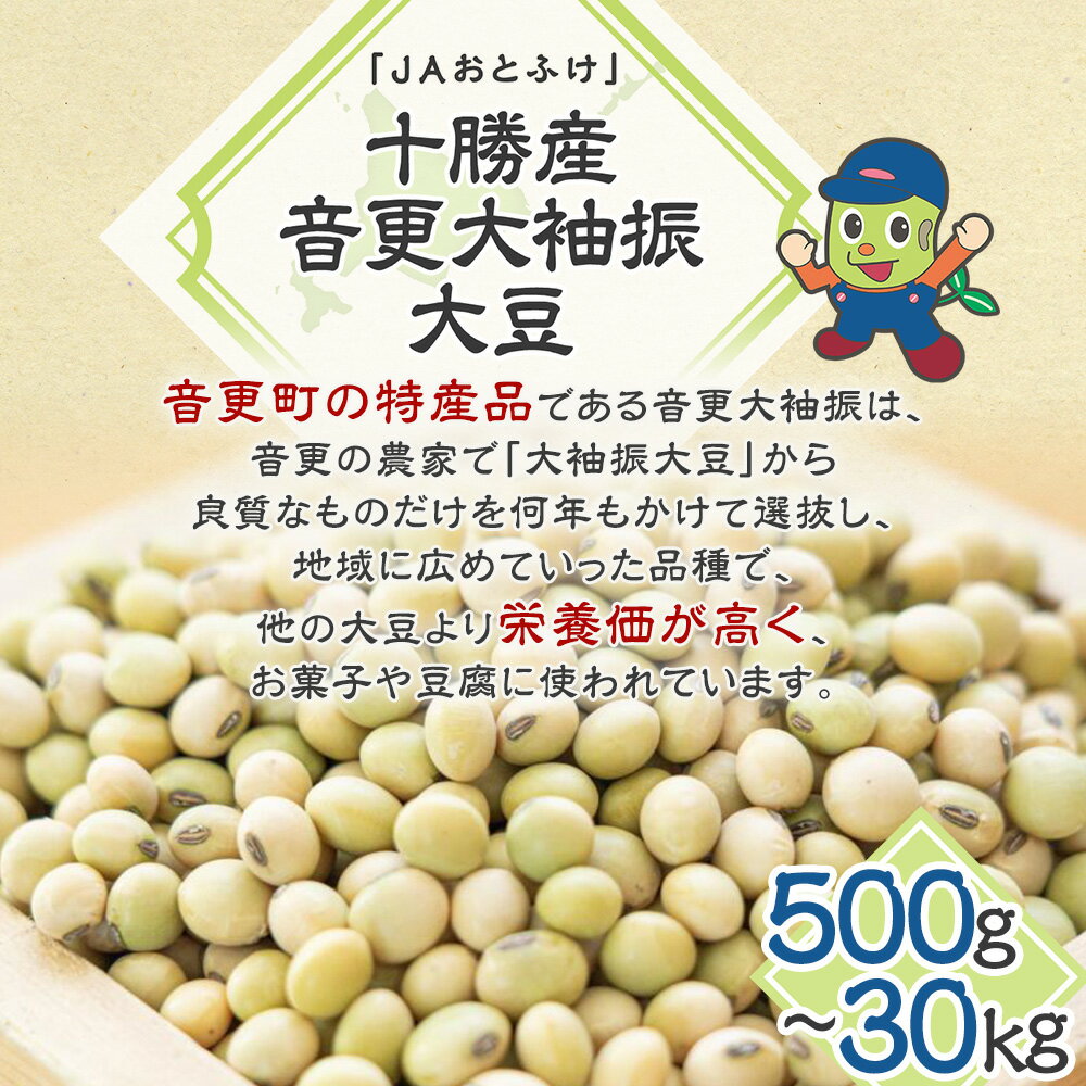【ふるさと納税】令和6年産「JAおとふけ」 音更大袖振大豆 ＜選べる容量＞ 500g 1kg 2kg 6kg 10kg 30kg 大豆 生豆 豆 だいず お豆 まめ 豆類 イソフラボン おやつ おつまみ お取り寄せ 十勝 常温 国産 北海道 音更町 送料無料 サムネイル2