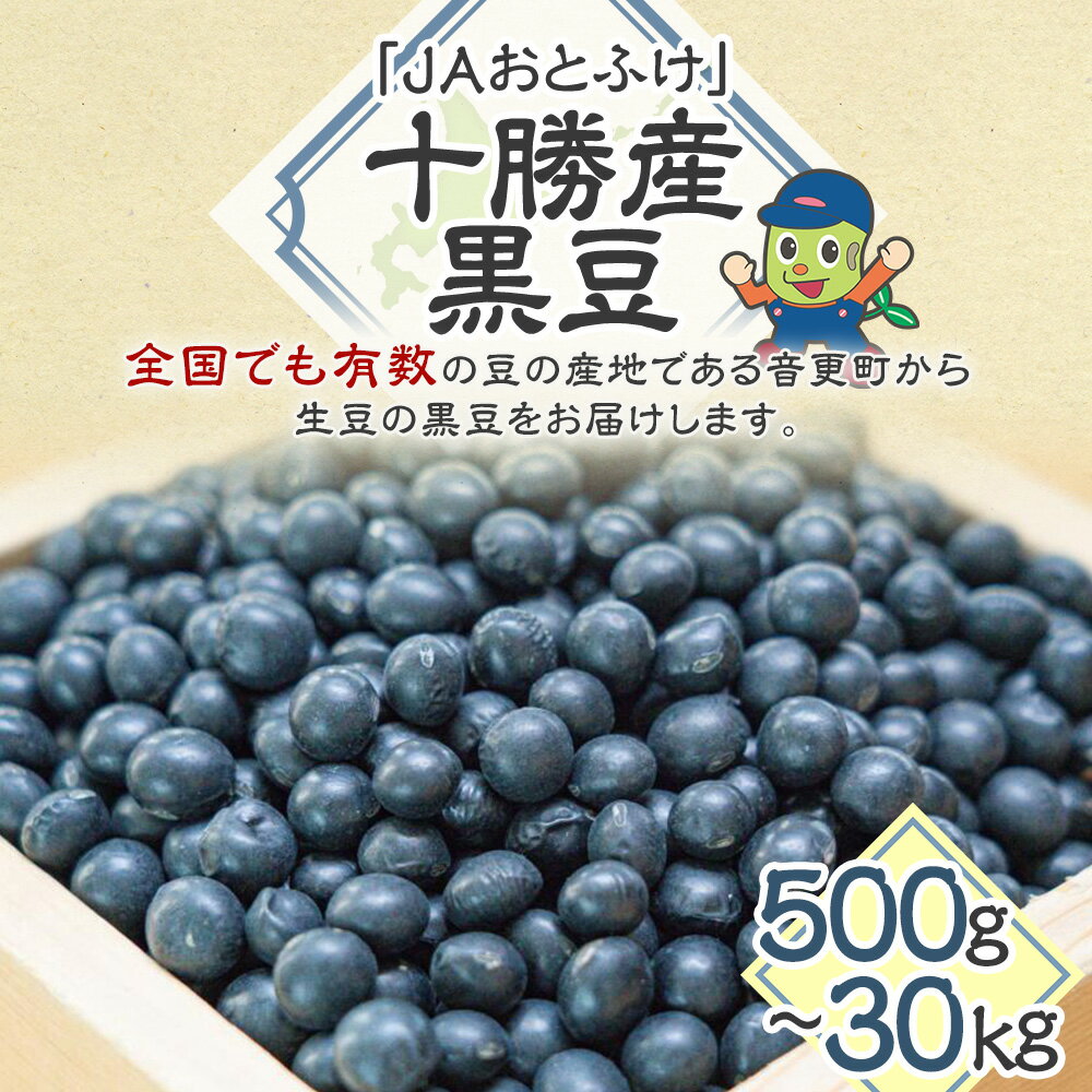 【ふるさと納税】【令和7年産】「JAおとふけ」黒豆 ＜選べる容量＞ 500g 1kg 2kg 5kg 10kg 30kg 黒豆 くろまめ 豆 お豆 まめ 生豆 黒大豆 光黒大豆 豆類 お取り寄せ 国産 十勝 常温 北海道 音更町 送料無料 - 画像2