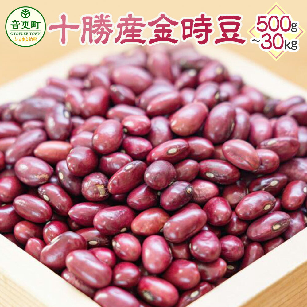 【令和7年産】 「JAおとふけ」金時豆 ＜選べる容量＞ 500g 1kg 2kg 5kg 10kg 30kg 金時豆 きんときまめ 豆 お豆 まめ 生豆 料理 食物繊維 ポリフェノール 十勝 常温 北海道 音更町 送料無料