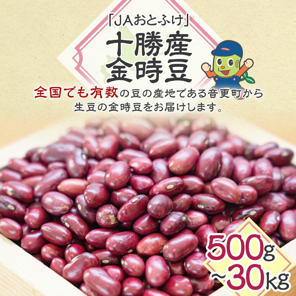 【ふるさと納税】【令和7年産】 「JAおとふけ」金時豆 ＜選べる容量＞ 500g 1kg 2kg 5kg 10kg 30kg 金時豆 きんときまめ 豆 お豆 まめ 生豆 料理 食物繊維 ポリフェノール 十勝 常温 北海道 音更町 送料無料 - 画像2