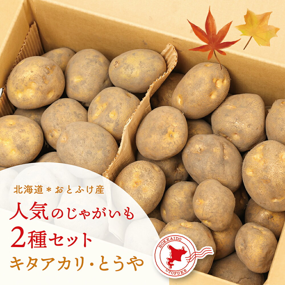 [先行受付] 北海道おとふけ産 人気のじゃがいも 2種セット「キタアカリ・とうや」合計9kg 【B73】《2026年10月下旬より発送開始予定》じゃがいも ジャガイモ いも 芋 イモ おいも お芋 根菜 やさい 野菜 セット 国産 常温 北海道 音更町産 送料無料