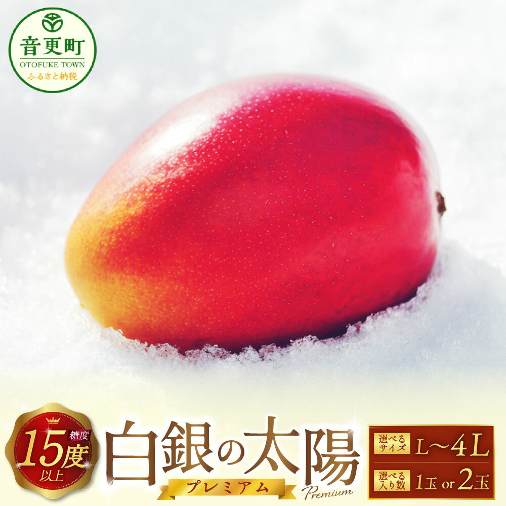 【先行受付】おとふけ産マンゴー「白銀の太陽プレミアム」＜選べるサイズ・入り数＞ Lサイズ×1玉～2玉／ 2Lサイズ×1玉～2玉／ 4Lサイズ×1玉～2玉 【2025年11月上旬より発送開始予定】 完熟マンゴー マンゴー 糖度15度以上
