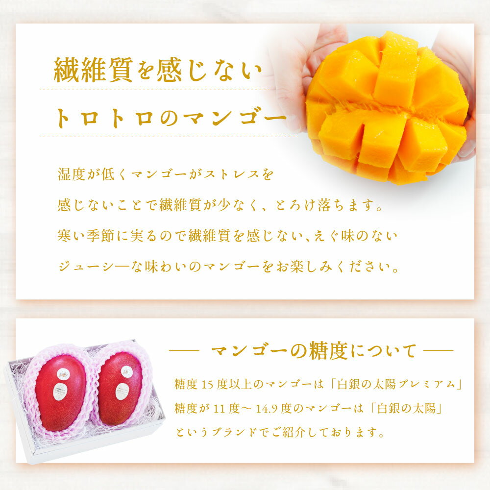 【ふるさと納税】【先行受付】おとふけ産マンゴー「白銀の太陽プレミアム」＜選べるサイズ・入り数＞ Lサイズ×1玉～2玉／ 2Lサイズ×1玉～2玉／ 4Lサイズ×1玉～2玉 【2025年11月上旬より発送開始予定】 完熟マンゴー マンゴー 糖度15度以上 サムネイル3