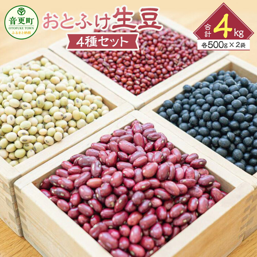 [先行受付] 令和7年産「JAおとふけ」 おとふけ生豆セット 500g×2袋×4種類 合計4kg 小豆 大豆 黒豆 金時豆 音更大袖振大豆 生豆 あずき だいず くろまめ きんときまめ 詰め合わせ お取り寄せ 十勝 常温 国産 北海道 音更町 ＜2025年12月上旬より順次発送＞
