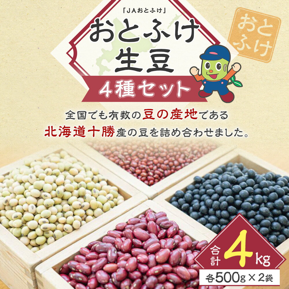 【ふるさと納税】[先行受付] 令和7年産「JAおとふけ」 おとふけ生豆セット 500g×2袋×4種類 合計4kg 小豆 大豆 黒豆 金時豆 音更大袖振大豆 生豆 あずき だいず くろまめ きんときまめ 詰め合わせ お取り寄せ 十勝 常温 国産 北海道 音更町 ＜2025年12月上旬より順次発送＞ サムネイル2