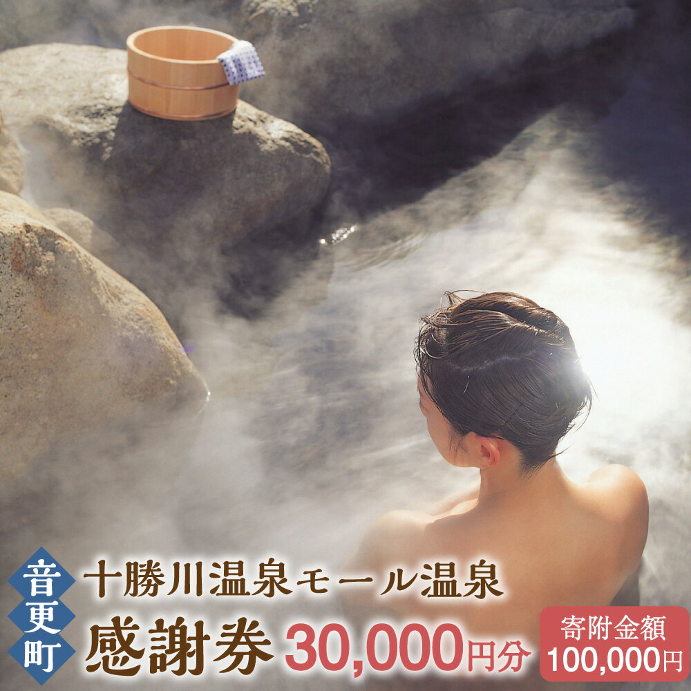 十勝川温泉モール温泉感謝券30,000円分 100000円 10万円 温泉 旅館 ホテル レジャー施設 旅行 観光 トラベル チケット サービス券 地域商品券 北海道 十勝 音更町