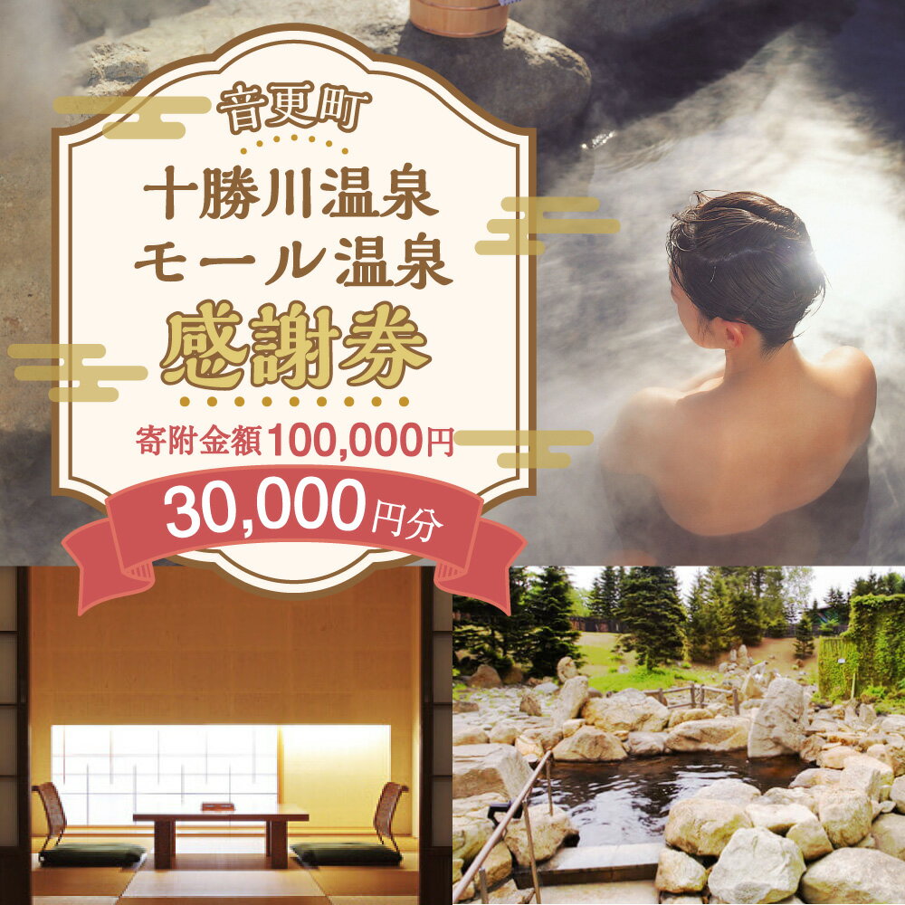【ふるさと納税】十勝川温泉モール温泉感謝券30,000円分 100000円 10万円 温泉 旅館 ホテル レジャー施設 旅行 観光 トラベル チケット サービス券 地域商品券 北海道 十勝 音更町 - 画像2