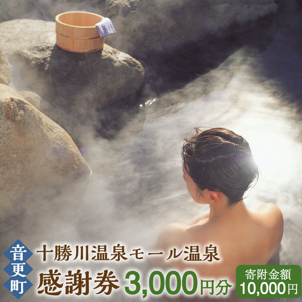 十勝川温泉モール温泉感謝券3,000円分 温泉 旅館 ホテル レジャー施設 旅行 観光 トラベル チケット サービス券 地域商品券 北海道 十勝 音更町 楽天スーパーSALE 9月開催