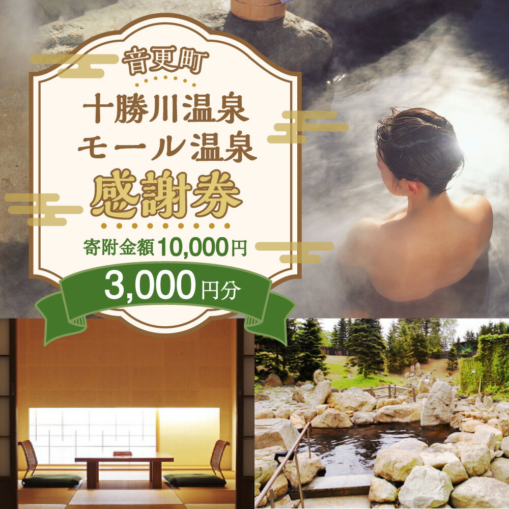 【ふるさと納税】十勝川温泉モール温泉感謝券3,000円分 温泉 旅館 ホテル レジャー施設 旅行 観光 トラベル チケット サービス券 地域商品券 北海道 十勝 音更町 楽天スーパーSALE 9月開催 サムネイル2