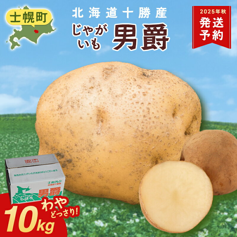 じゃがいも 10kg 北海道 十勝 男爵だんしゃく 男爵いも 男爵薯 ジャガイモ じゃがいも 芋 ポテト 北海道 十勝産 大容量 自宅用 家族 お弁当 まとめ買い ギフト 贈り物 お取り寄せ 送料無料 十勝 士幌町 9000円